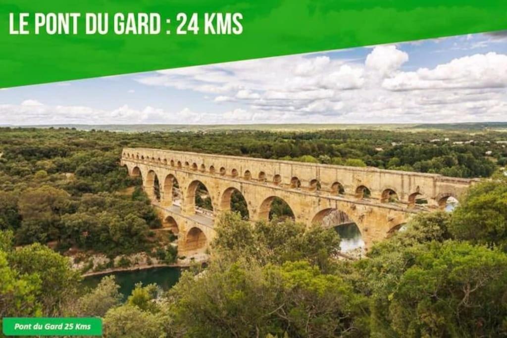 Appartement La Balance Des Doms - 1 Min Du Palais Des Papes - Intra-muros