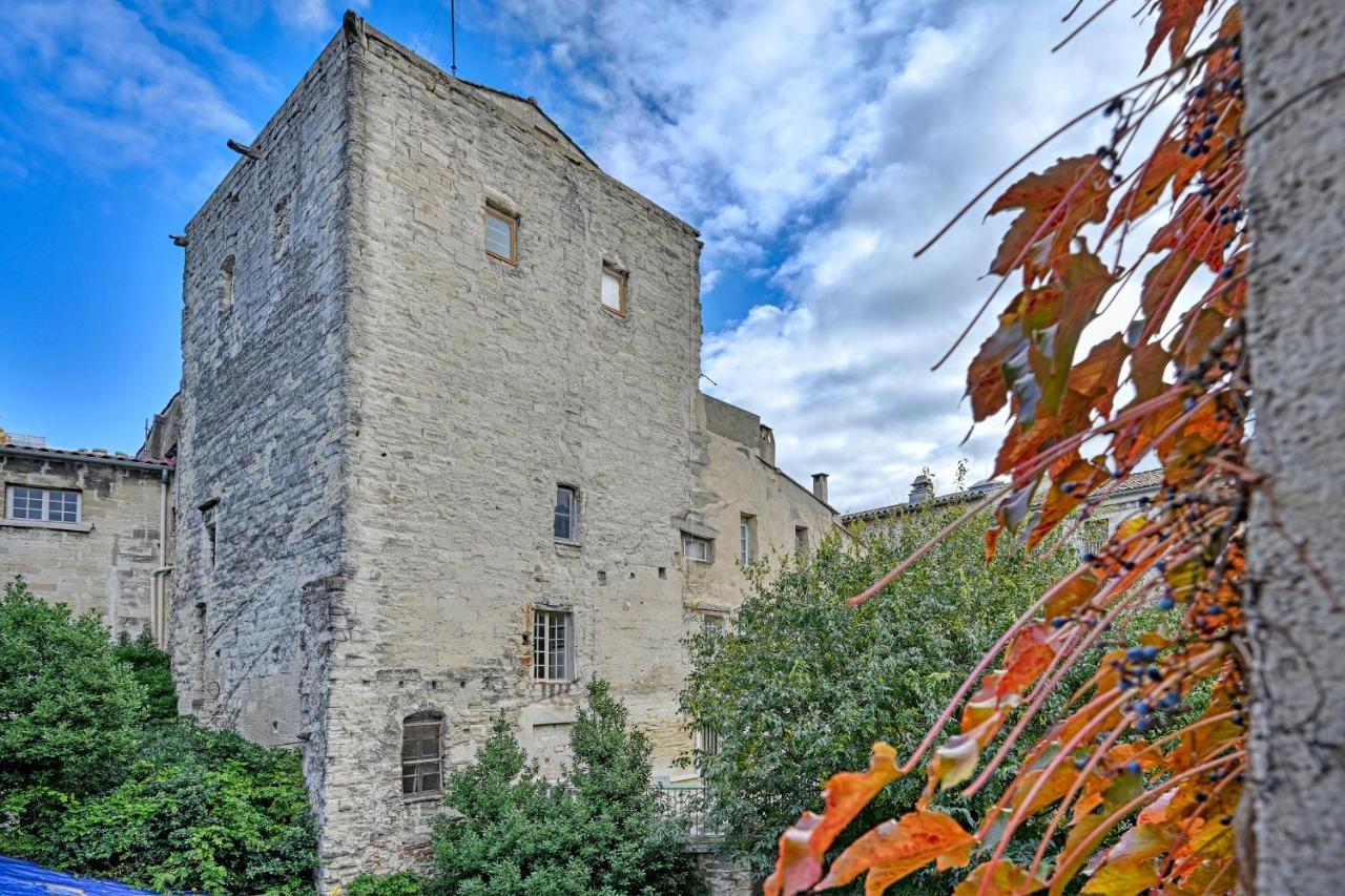 Appartement La Balance Des Doms - 1 Min Du Palais Des Papes - Intra-muros *